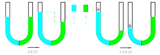 1502843198901299.png 圖片20.png